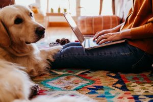 Young woman on laptop with a dog by her side
