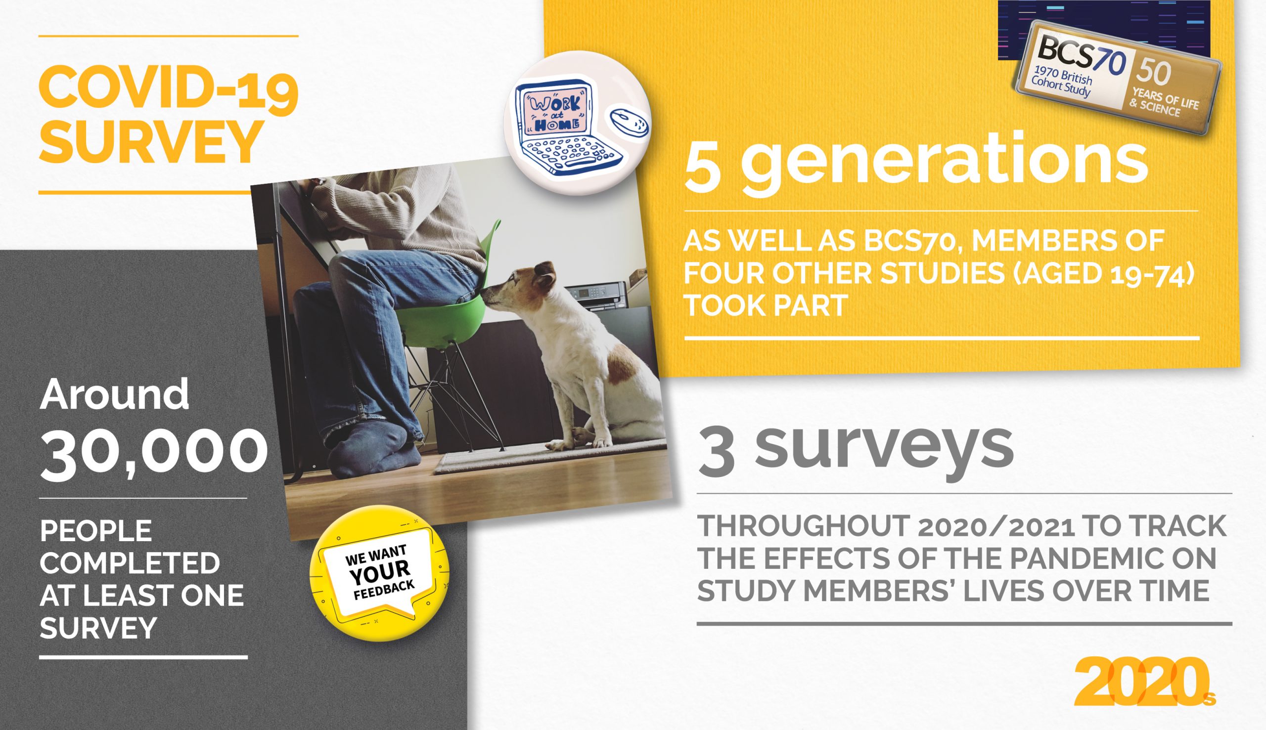 Collage of pictures, badges and stats about the COVID-19 Survey