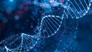 DNA helix